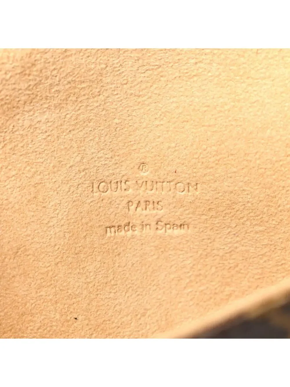 Louis Vuitton Pochette Twin Pm #329516L75B